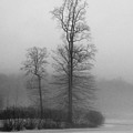 Misty Winter Day