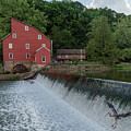 Blue Heron at Clinton Red Mill