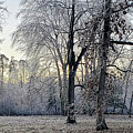 Icy Morning at Silverbrook Gateway